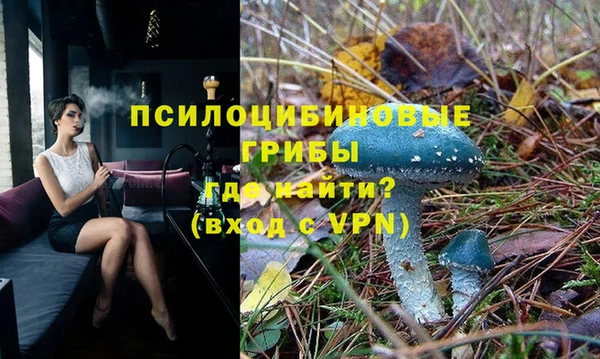 бутират Белокуриха